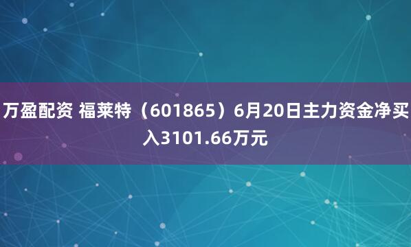 万盈配资 福莱特（601865）6月20日主力资金净买入3101.66万元